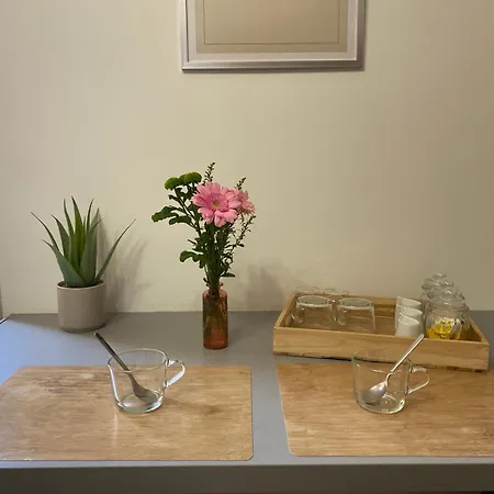 Henry's Place - Cosy En Hypercentre De Toulouse